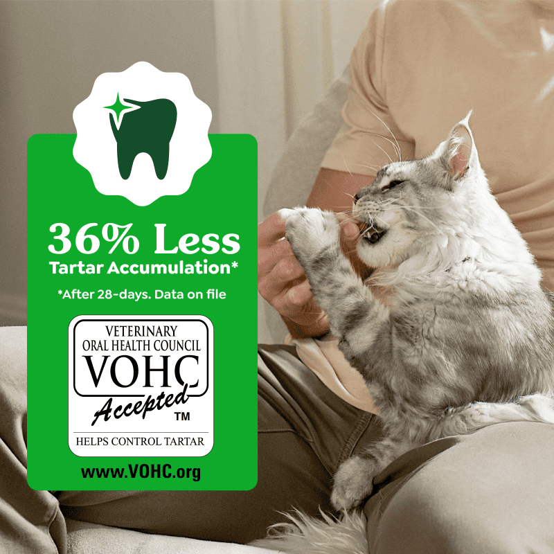 Greenies - Cat Dental CATNIP Flavour Cat Treats - 60GM (2.1oz)