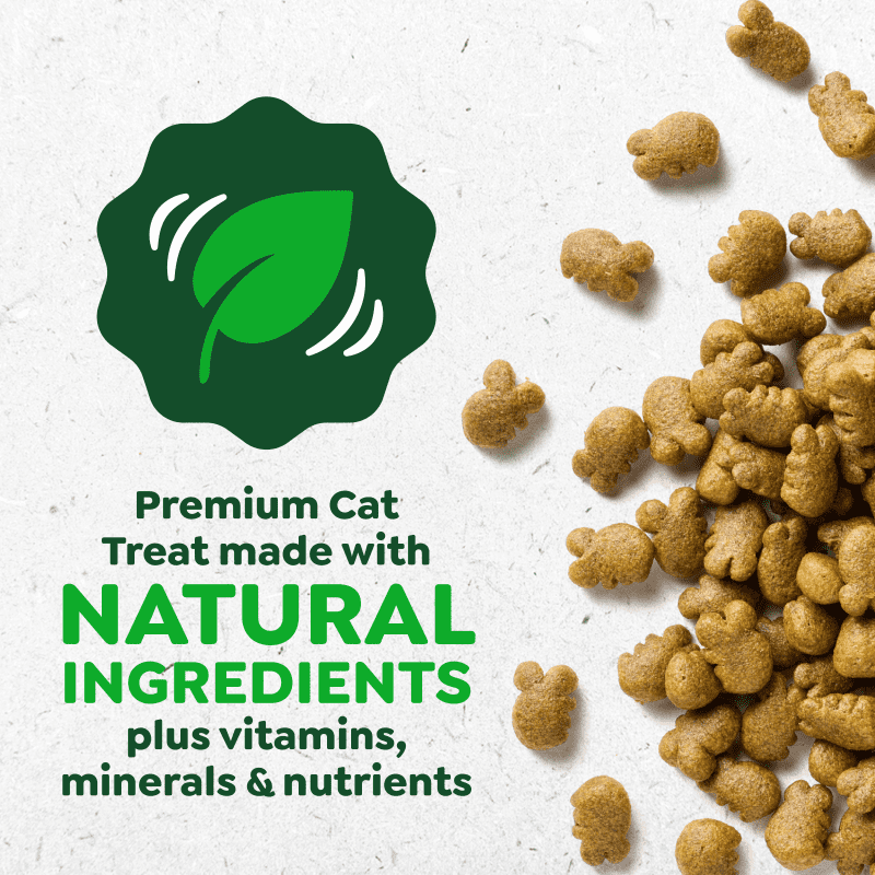 Greenies - Cat Dental CATNIP Flavour Cat Treats - 60GM (2.1oz)