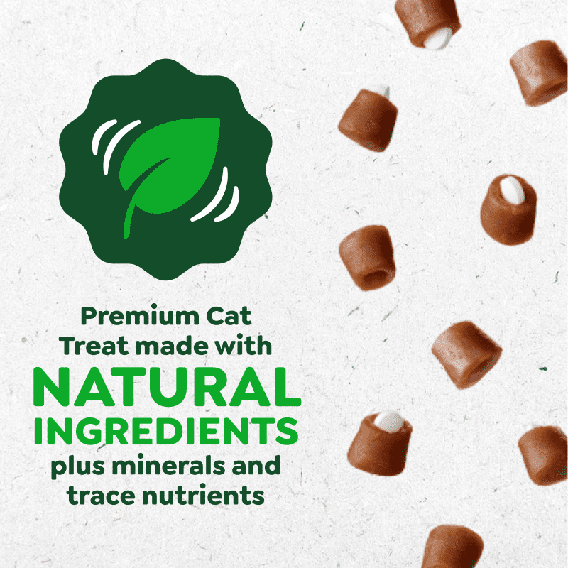 Greenies - Pill Pockets CHICKEN Cat Treat - 45GM (1.6oz)