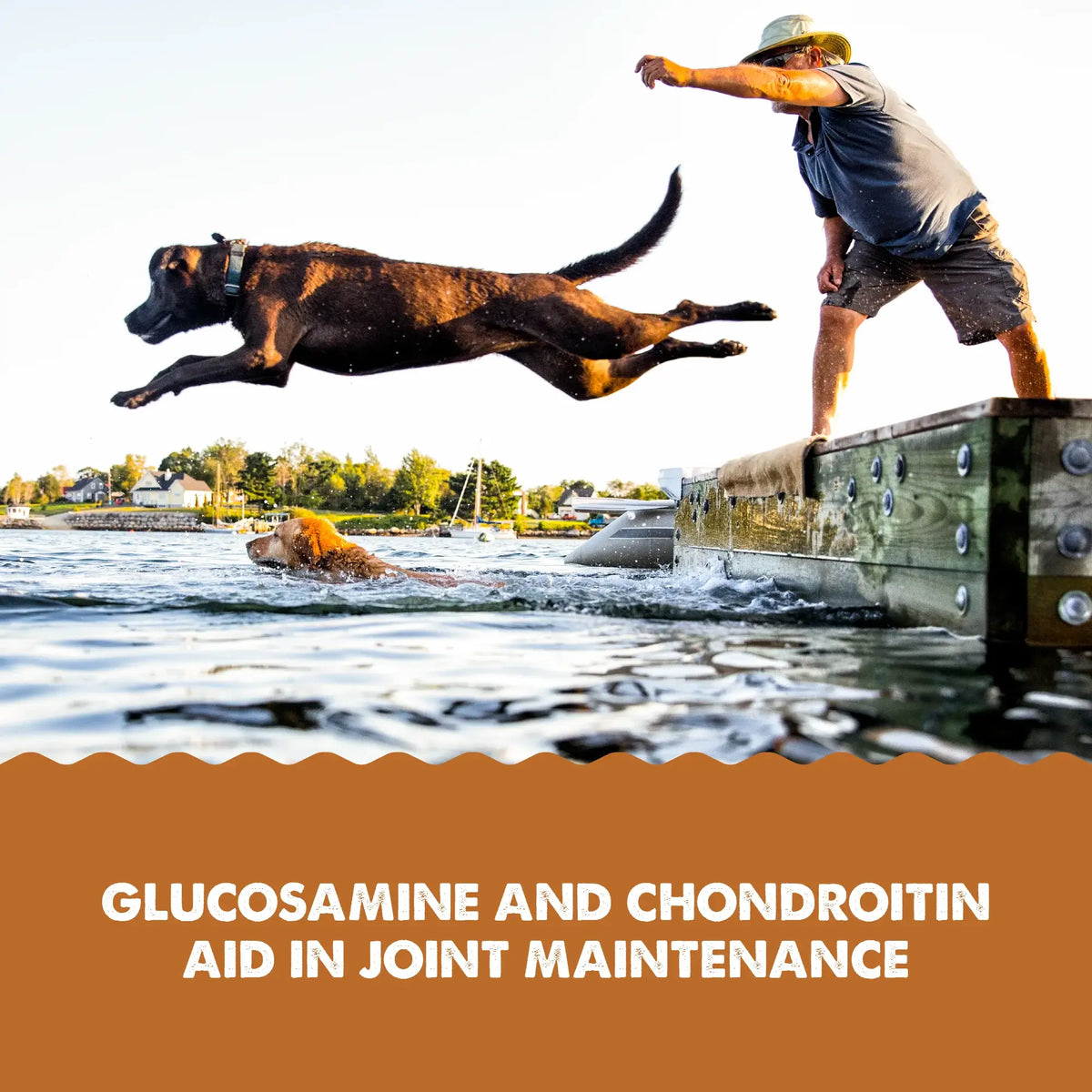 Cloud Star - Grizzly Joint Aid Hip & Joint Support Liquid Supplement - 473ML (16oz)