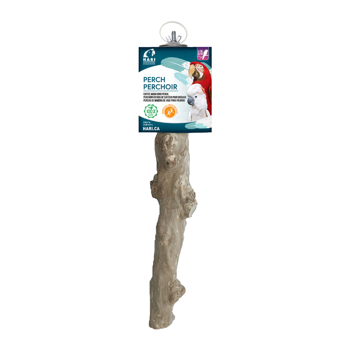 HARI - Coffee Wood Bird Perch - Suitable for Large to Extra Large sized parrots - 42CM (16.5in)