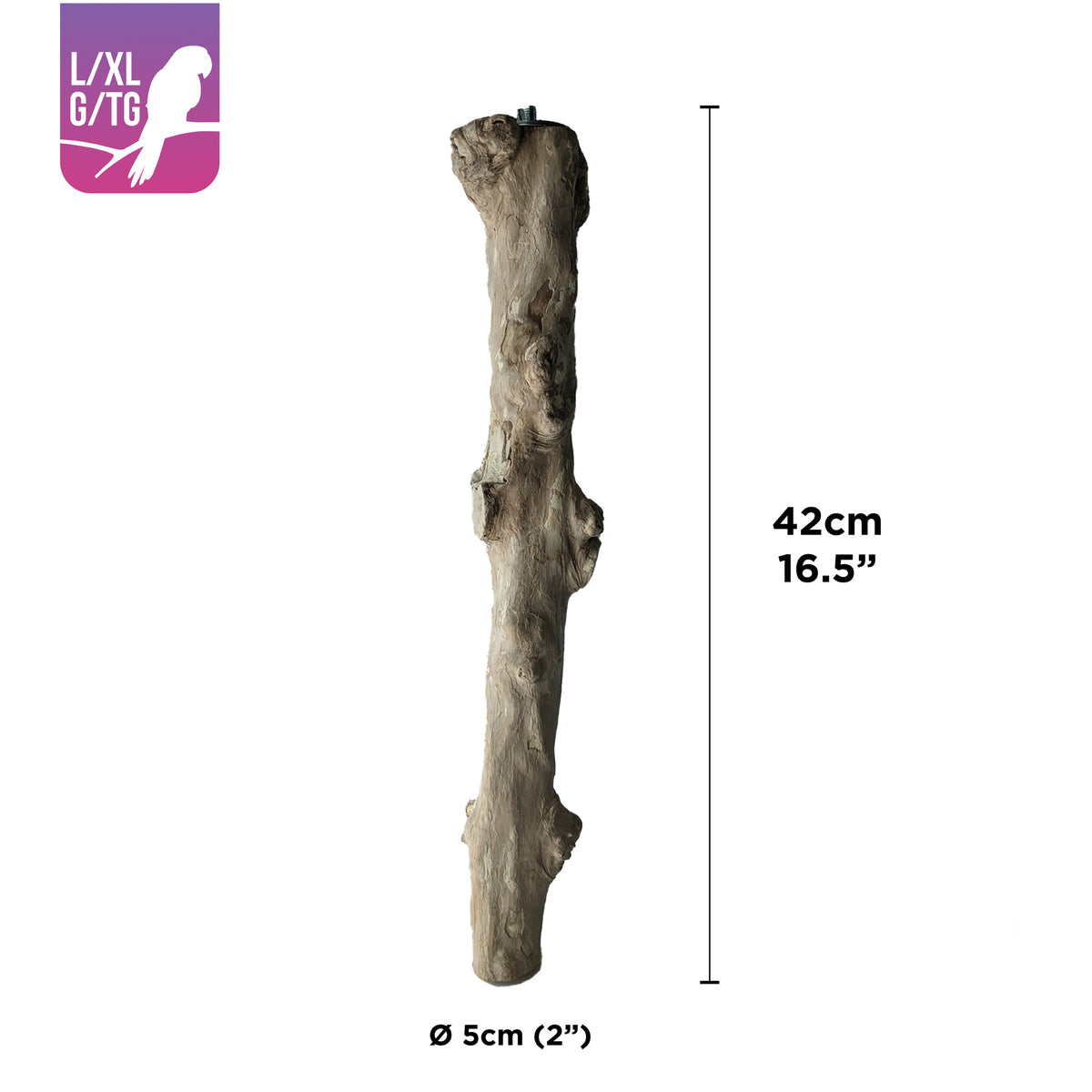 HARI - Coffee Wood Bird Perch - Suitable for Large to Extra Large sized parrots - 42CM (16.5in)