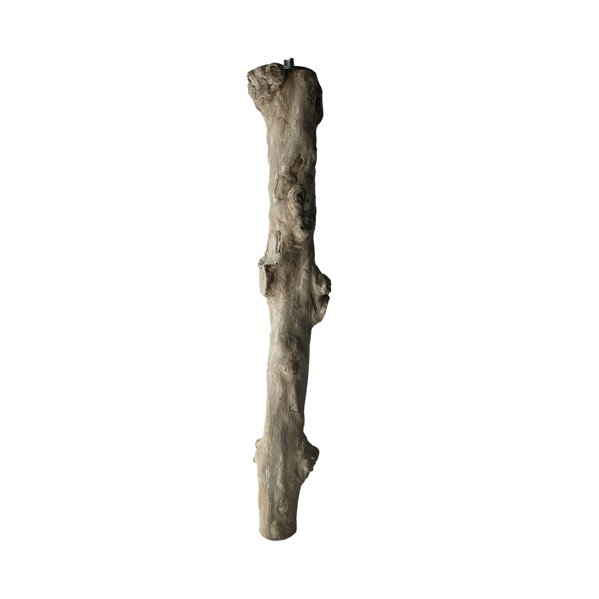 HARI - Coffee Wood Bird Perch - Suitable for Large to Extra Large sized parrots - 42CM (16.5in)