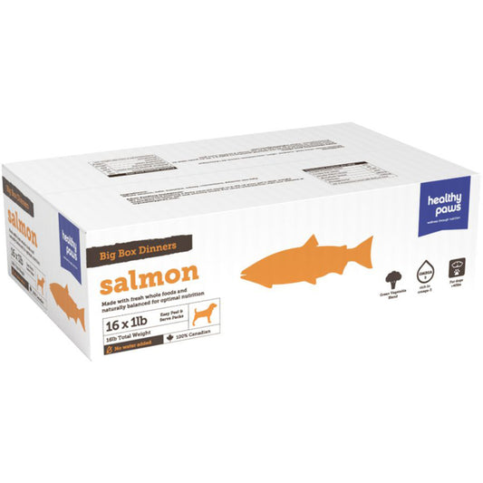 Healthy Paws - Frozen - Big Box Dinner SALMON Dog Food - 16LB