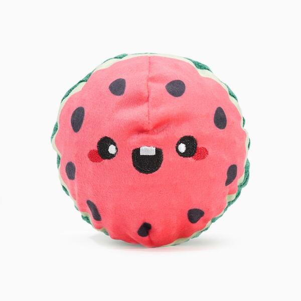 Hugsmart - Super Ball Picnic Time Watermelon Ball Dog Toy