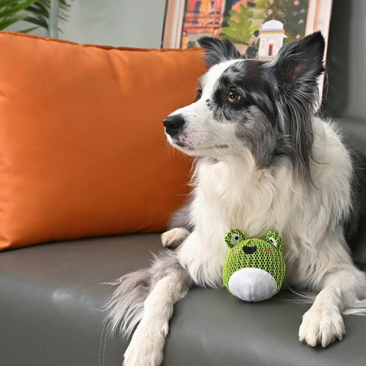 Hugsmart - Super Ball Farm Friendz Frog Dog Toy