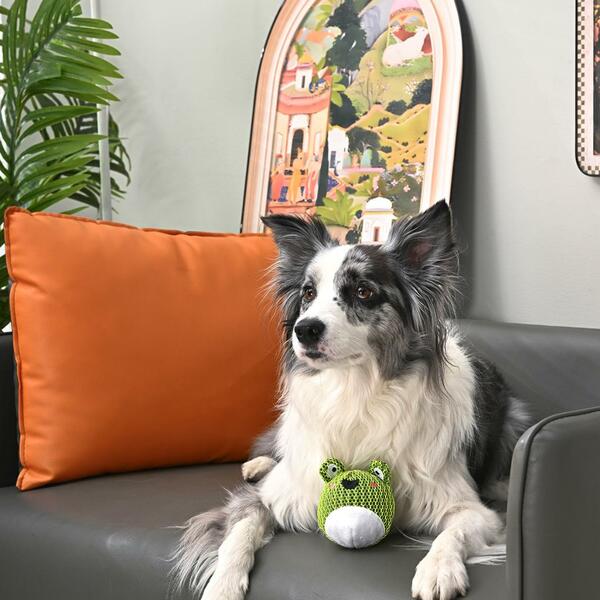 Hugsmart - Super Ball Farm Friendz Frog Dog Toy