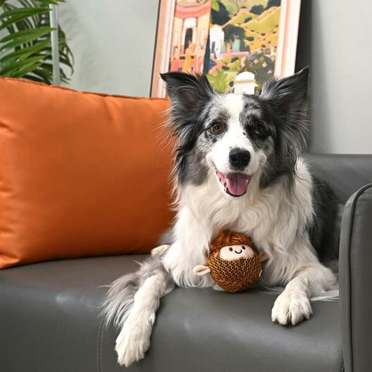 Hugsmart - Super Ball Farm Friendz Highland Cow Dog Toy