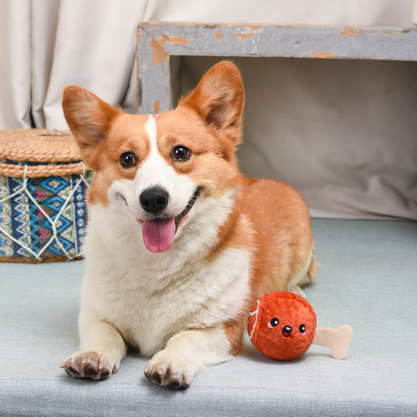 Hugsmart - Super Ball Food Party Ham Dog Toy