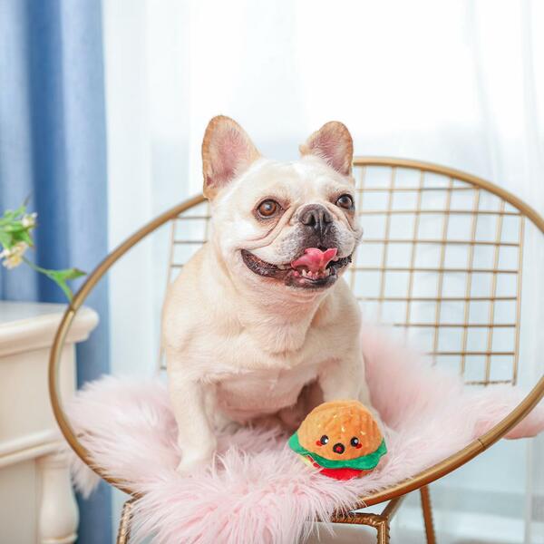 Hugsmart - Super Ball Food Party Hamburger Dog Toy