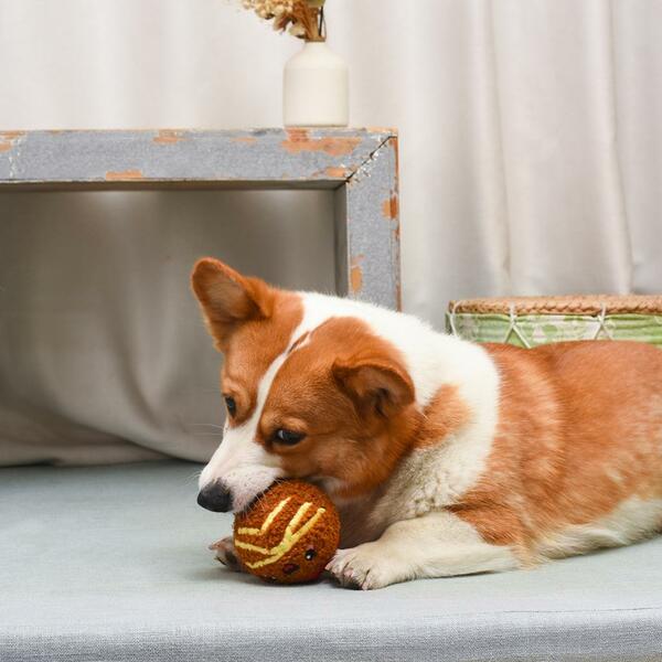 Hugsmart - Super Ball Food Party Spaghetti Meatball Dog Toy