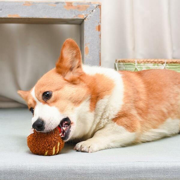 Hugsmart - Super Ball Food Party Spaghetti Meatball Dog Toy