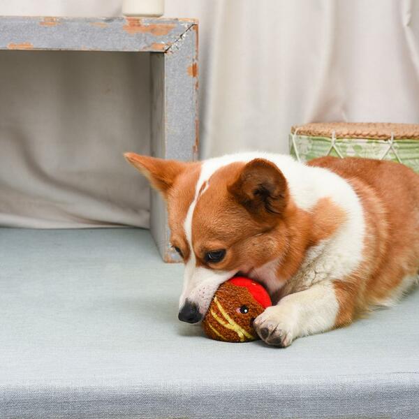 Hugsmart - Super Ball Food Party Spaghetti Meatball Dog Toy
