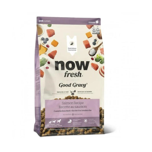 Petcurean - NOW Good Gravy Adult SALMON Dry Dog Food