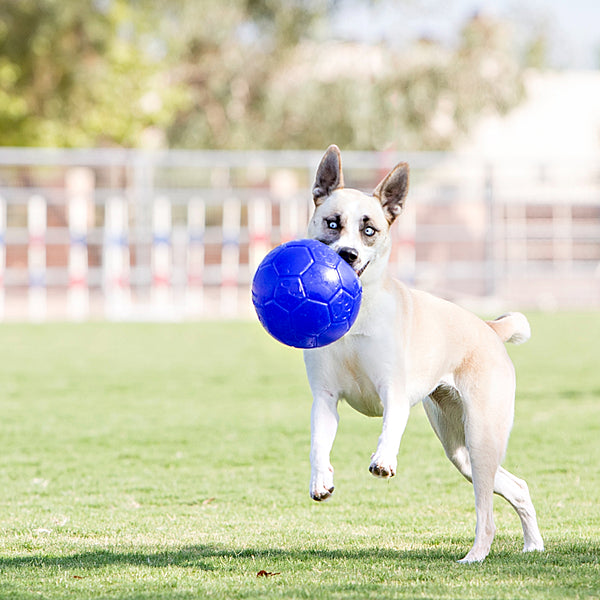 Jolly Pets, Soccer Ball Dog Toy, OCEAN BLUE, 20CM (8in)