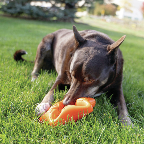 KONG, Squeakz Star Dog Toy, LARGE, 20.3CM (8in)
