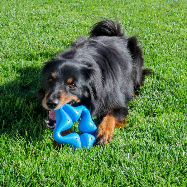 KONG, Squeakz Star Dog Toy, MEDIUM, 15.2CM (6in)