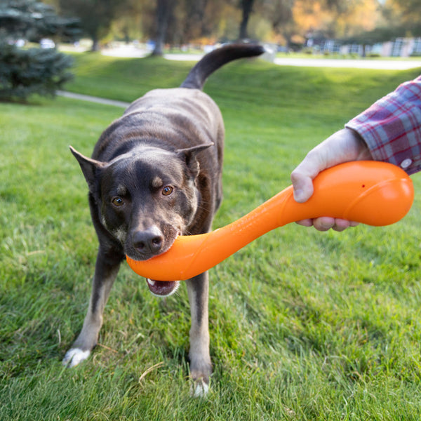 KONG, Squeakz Stick Dog Toy, LARGE, 38.1CM (15in)