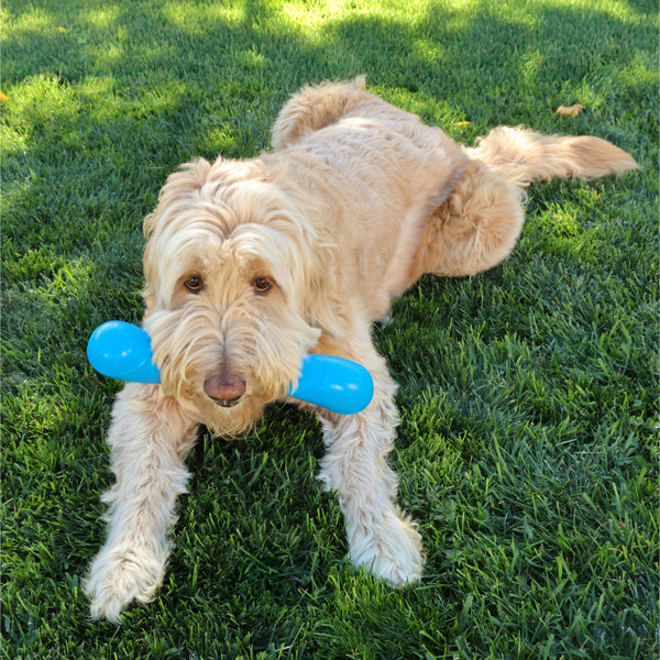 KONG, Squeakz Stick Dog Toy, MEDIUM, 30.4CM (12in)