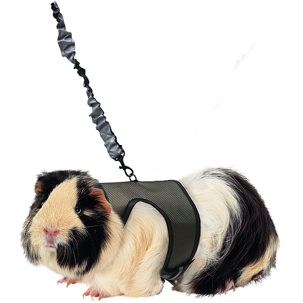 Kaytee, Comfort Harness with Stretch Lead, LARGE