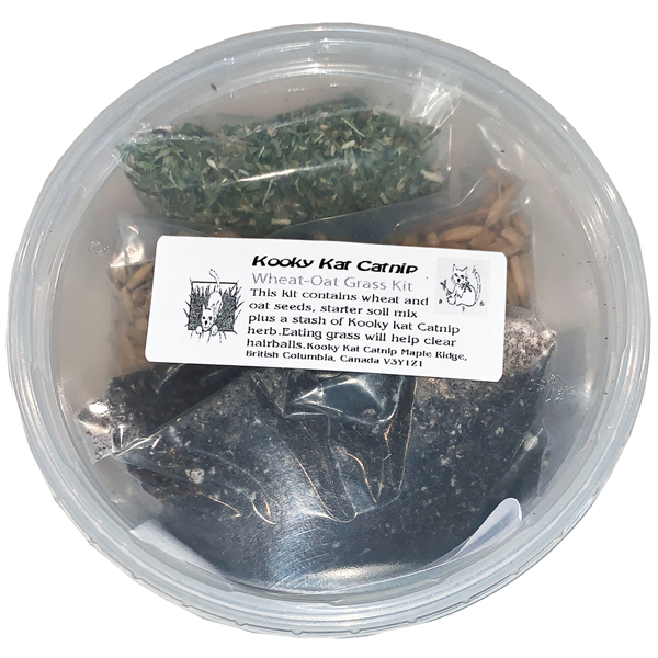 Kooky Kat, Cat Grass Kit