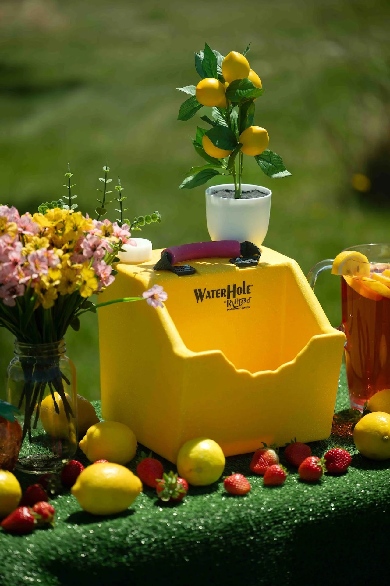 Ruff Land Kennel - Accessories - Water Hole