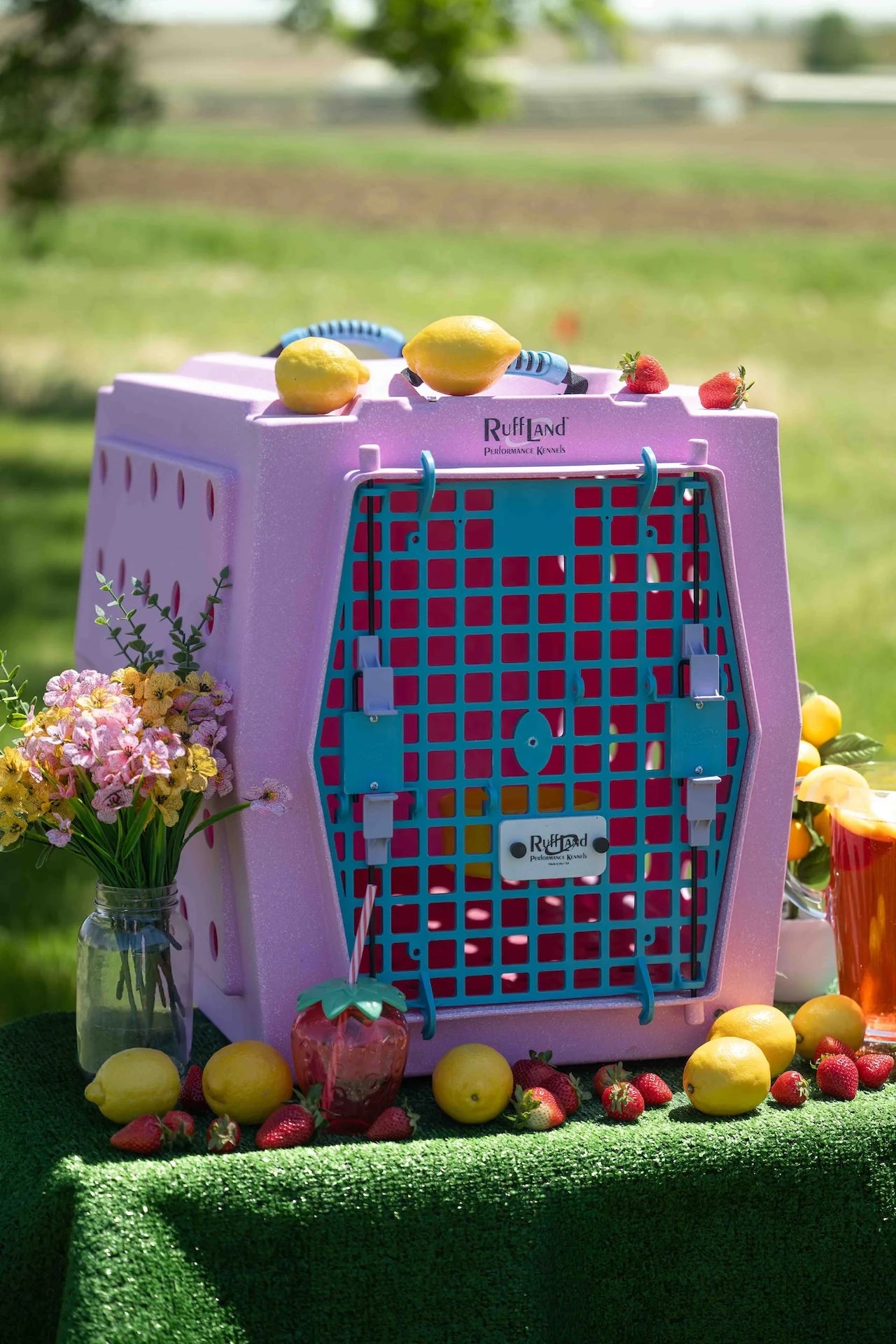 Ruff Land Kennel - Accessories - Water Hole