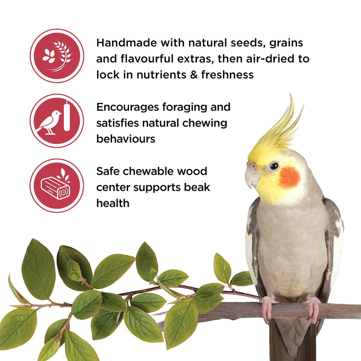 Living World - Sticks - Cockatiel Treat - Fruit Melody - 90GM (3.2oz) - 2PK