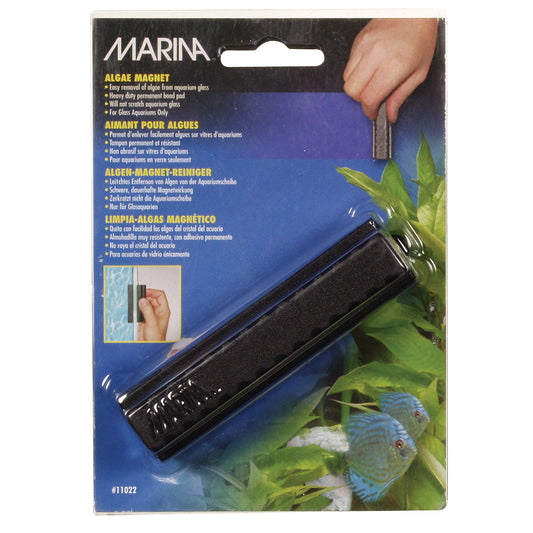Marina - Algae Magnet - MEDIUM