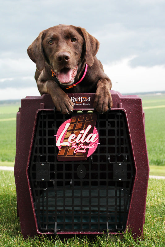 **PRE-ORDER** Limited Edition Merlot