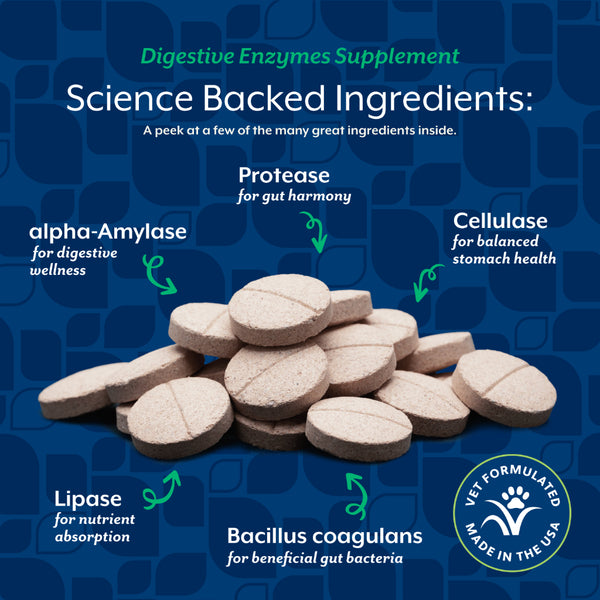 *PREORDER* NaturVet - Digestive Enzymes + Probiotic - 180GM (6.3oz) - 60CT