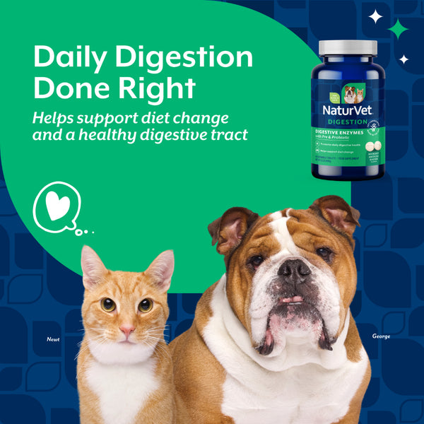 *PREORDER* NaturVet - Digestive Enzymes + Probiotic - 180GM (6.3oz) - 60CT