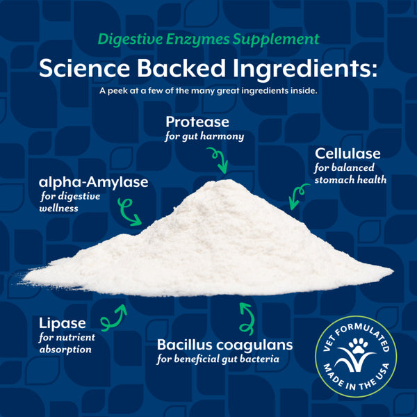 *PREORDER* NaturVet - Digestive Enzymes+Probiotic Powder - 283GM (10oz)