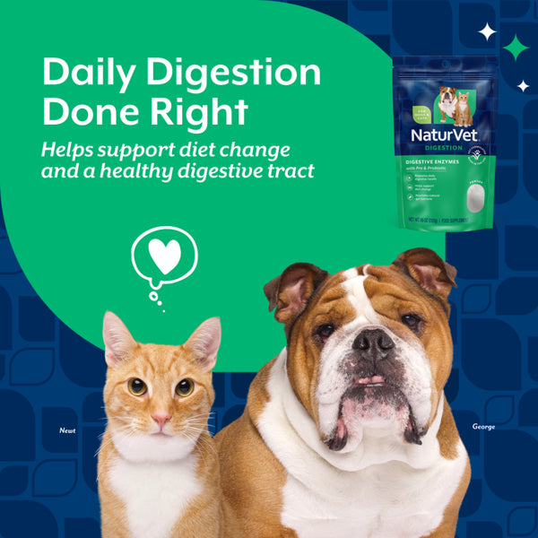*PREORDER* NaturVet - Digestive Enzymes+Probiotic Powder - 283GM (10oz)