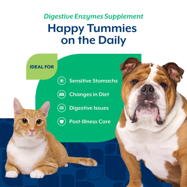 *PREORDER* NaturVet - Digestive Enzymes+Probiotic Powder - 283GM (10oz)