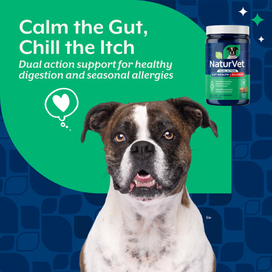 *PREORDER* NaturVet - Dual Action Gut Health + Allergy Soft Chew for Dogs - 180GM (6.3oz) - 60CT