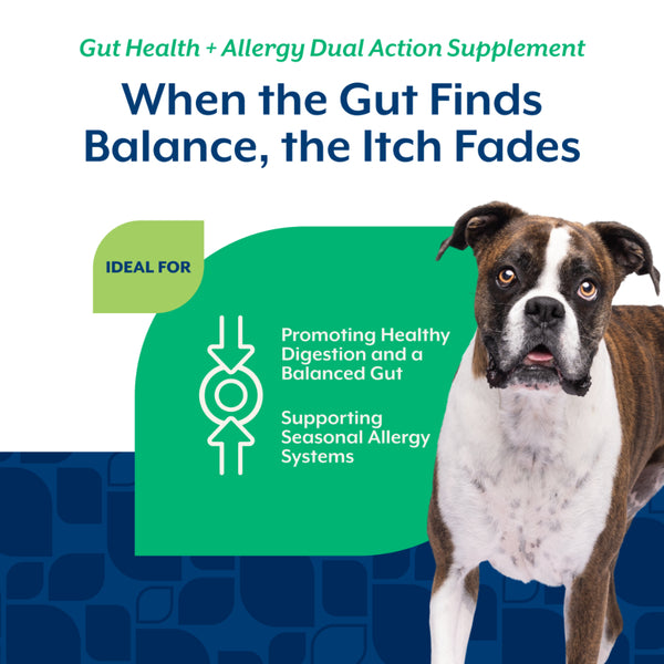 *PREORDER* NaturVet - Dual Action Gut Health + Allergy Soft Chew for Dogs - 180GM (6.3oz) - 60CT