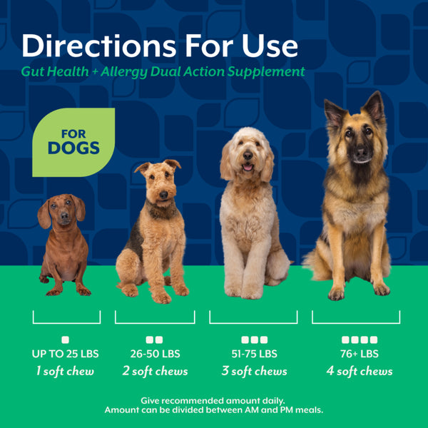 *PREORDER* NaturVet - Dual Action Gut Health + Allergy Soft Chew for Dogs - 180GM (6.3oz) - 60CT