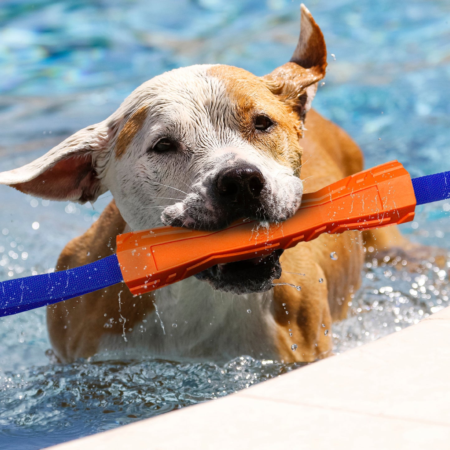 *DISC* Nerf - Megaton Competition Stick Dog Toy