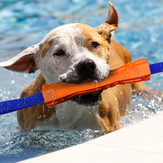 *DISC* Nerf - Megaton Competition Stick Dog Toy - 26CM (10in)
