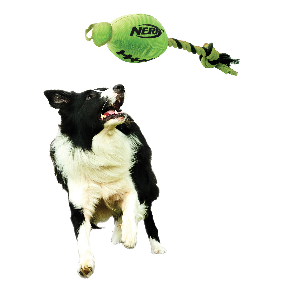 *DISC* Nerf - Slinger Football Dog Toy - GREEN - 34CM (13.5in)