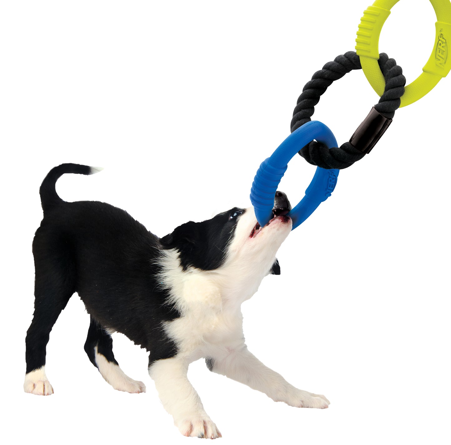 *DISC* Nerf - Three Ring Tug Dog Toy - 22.9CM (9in)