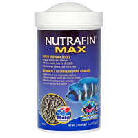 *S.O. - Call for Estimated Arrival* Nutrafin - Max Cichlid Spirulina Meal Sticks - 112GM (4 oz)