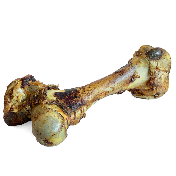 Open Range, Cured DINO BONE Dog Chew, 45CM (18in)