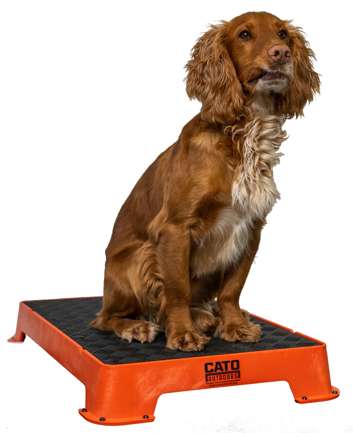 Cato Board Dog Training Platform - 16" x 24"
