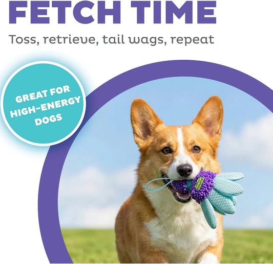 Outward Hound - Flyfetch Birdies Dog Toy - PURPLE - SMALL - 2PK