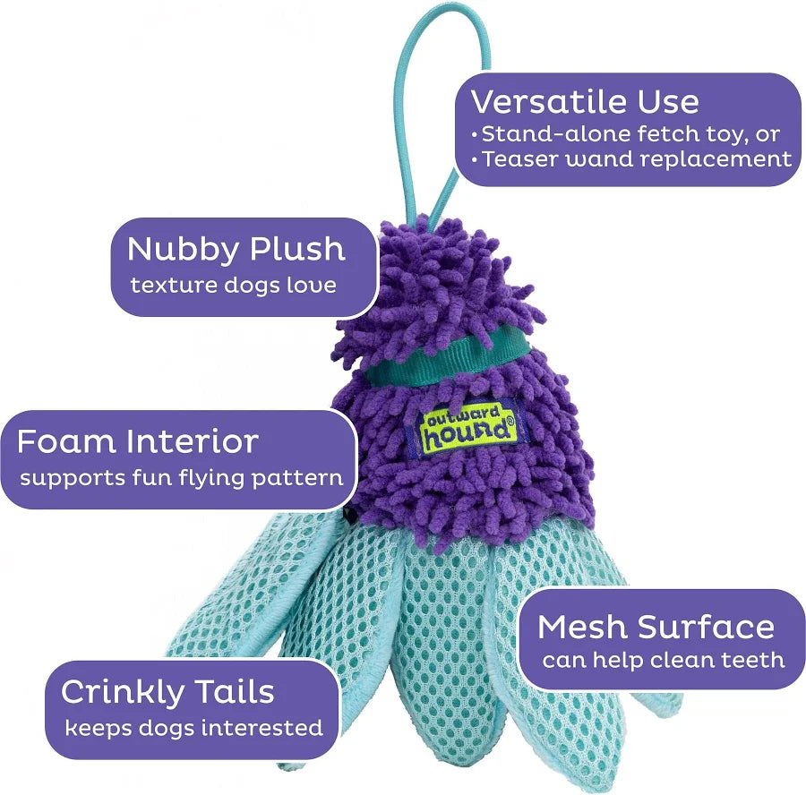 Outward Hound, Flyfetch Birdies Dog Toy, PURPLE, SMALL, 2PK