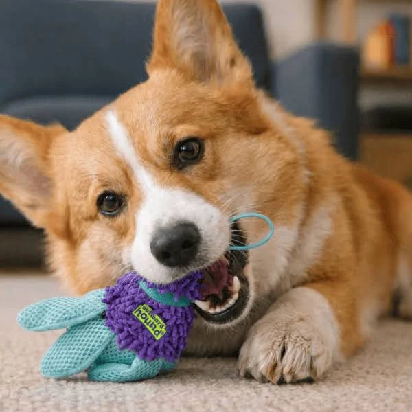 Outward Hound, Flyfetch Birdies Dog Toy, PURPLE, SMALL, 2PK