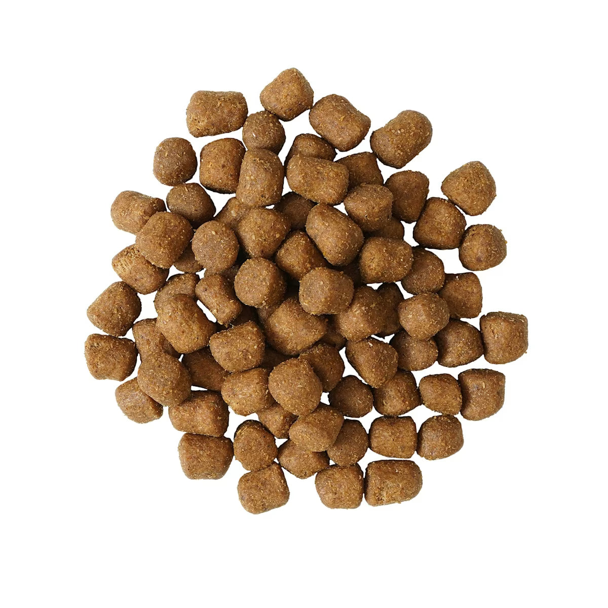Petcurean - Go! Dental & Immune Health CHICKEN & SALMON Dry Cat Food - 1.13KG (2.5lb)