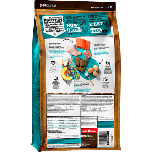 Petcurean - NOW TURKEY SALMON DUCK LARGE BREED SENIOR Dry Dog Food - 11.34KG (25lb)